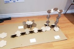 20190319_165551-scaled