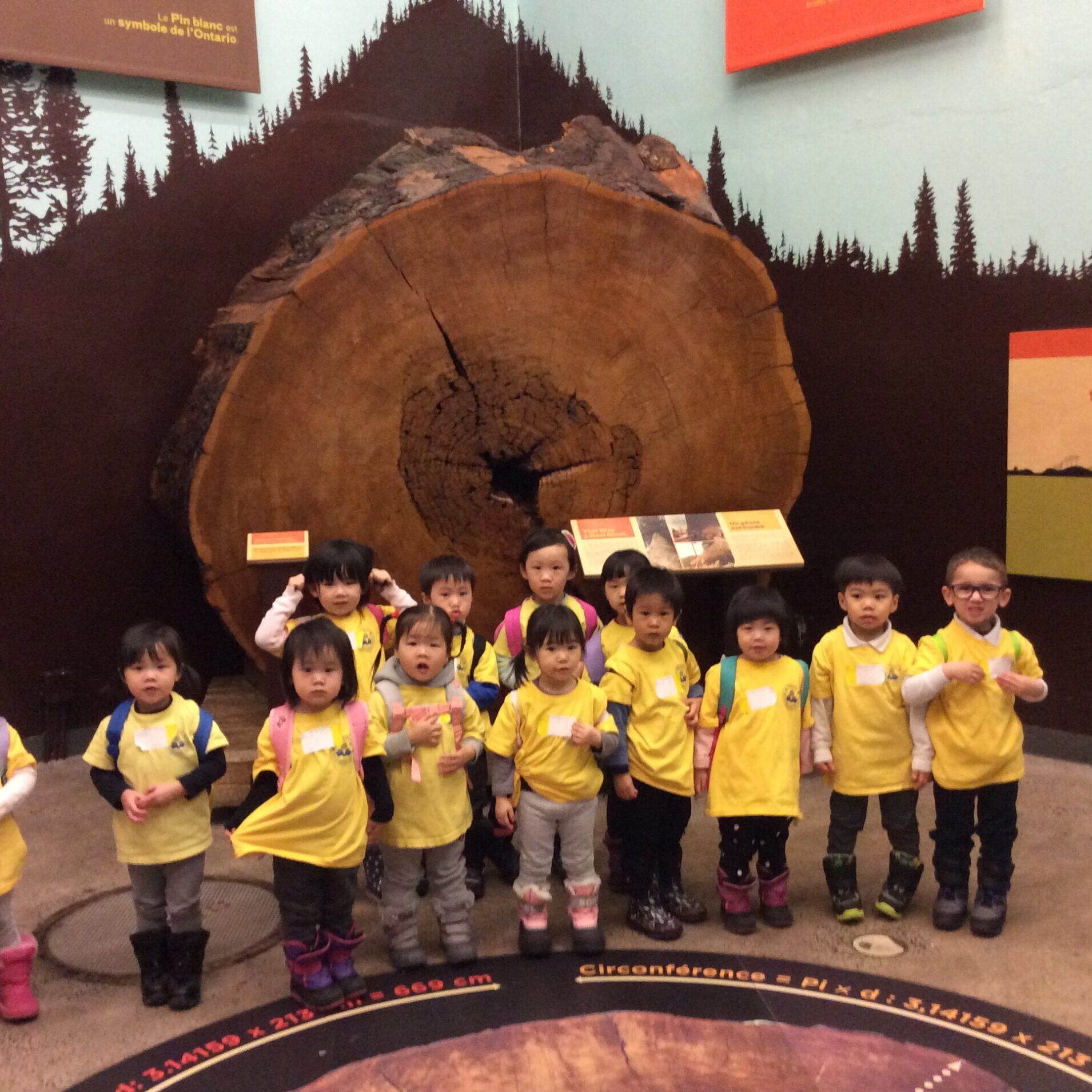 Camp Program